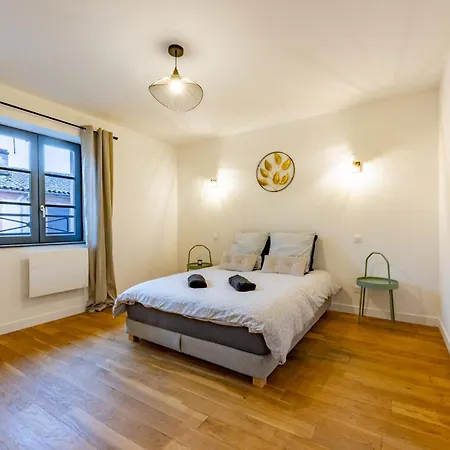 Le Beau Briand Proche Gare Parking Facile Appartement Montauban Buitenkant foto